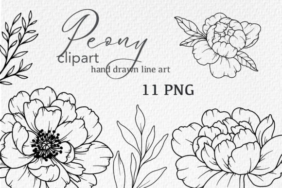 Download Peonies LINE DRAWING, Floral Line Art - Peonies Collection