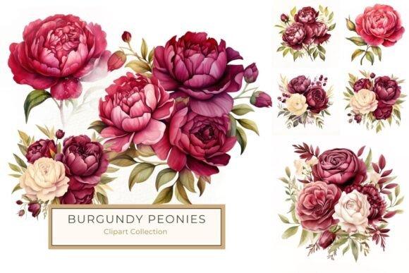 Download Watercolor Burgundy Peonies and Roses - Peonies Collection